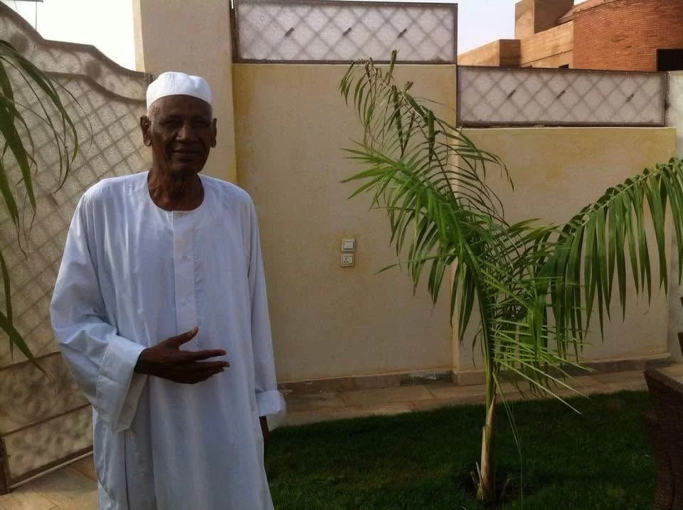 كمال طه .. مسيرة مهنية حافلة لأكثر من 50 عاما