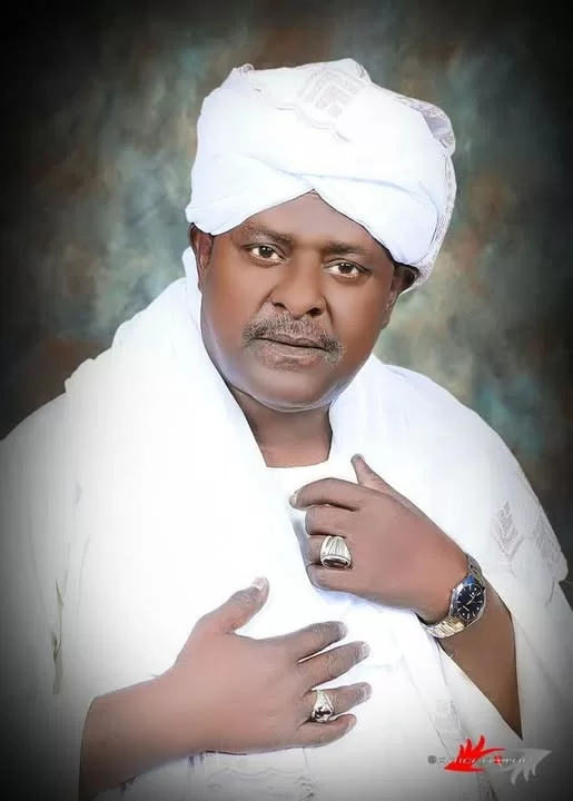 حذّر من خطر يهدد الفن السوداني..