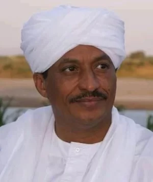 حسن التجاني